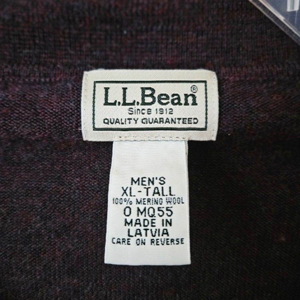 L.L.Bean Merino Wool Pullover Mens XL Tall Eclectic Grandpa Academia Teacher - Picture 5 of 7